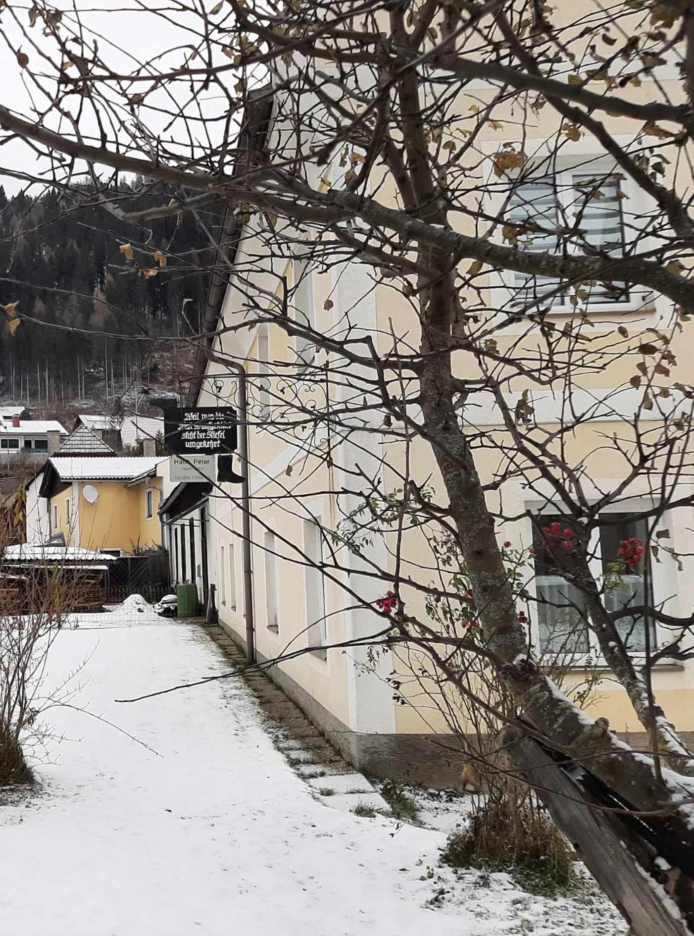 Haus Peter Apartment Murau Bagian luar foto